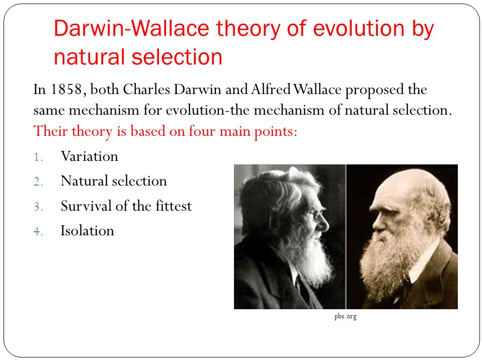 Darwin and His Theory of Evolution